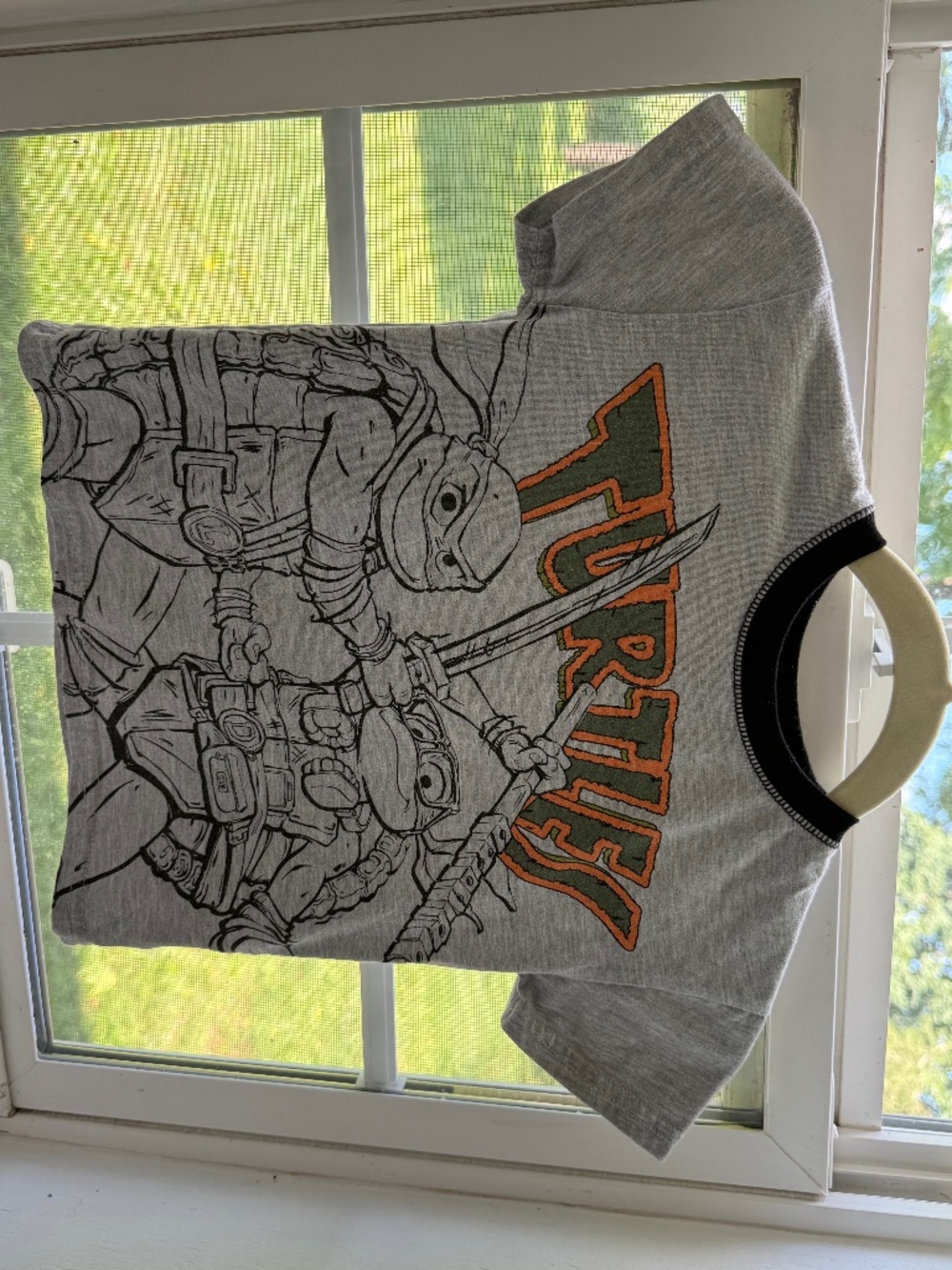 TMNT Teenage Mutant Ninja Turtles Graphic Tee & Shorts Set Boys